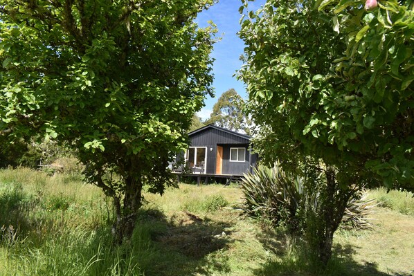 Exterior - Beautiful Chilean Patagonia cabin. (Chaitén Province)
