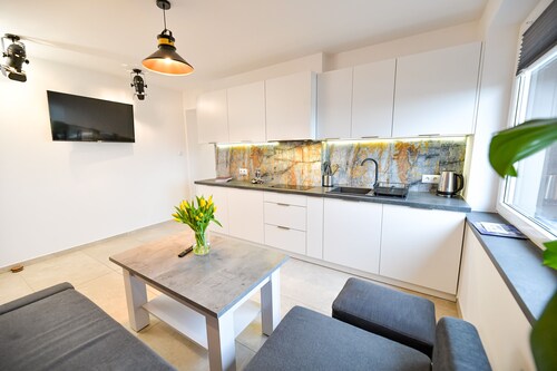 Great Apartment4 Zator - Energylandia, Auschwitz, Cracow. VILLA COASTER Welcome.