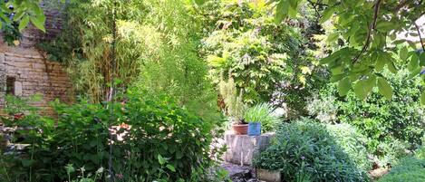 Jardines del alojamiento