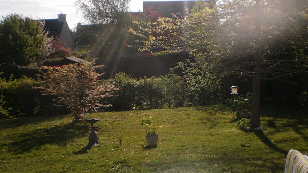 Un jardin avec une pelouse, un abreuvoir pour oiseaux et une chaise.