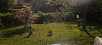 Le Jardin aux Oiseaux