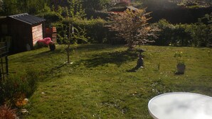 Une cour arrière verdoyante avec un petit arbre, une mangeoire à oiseaux et un abri de jardin.