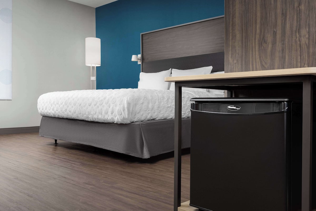 A modern hotel room with a bed, a small black trash bin, and a wall-mounted lamp.