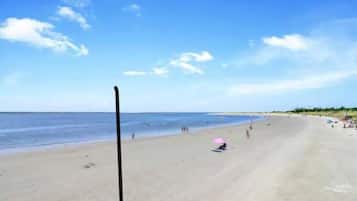 Plage, chaises longues, serviettes de plage