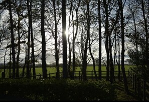 المنطقة المحيطة بالمنشأة