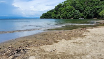 Plage à proximité, serviettes de plage