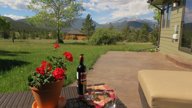 Un patio con una botella de vino, copas y una planta en maceta.