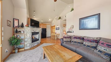 Fireplace, video library