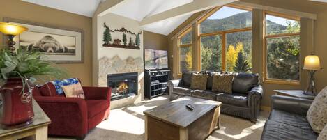 Cheminée, lecteur de DVD, livres