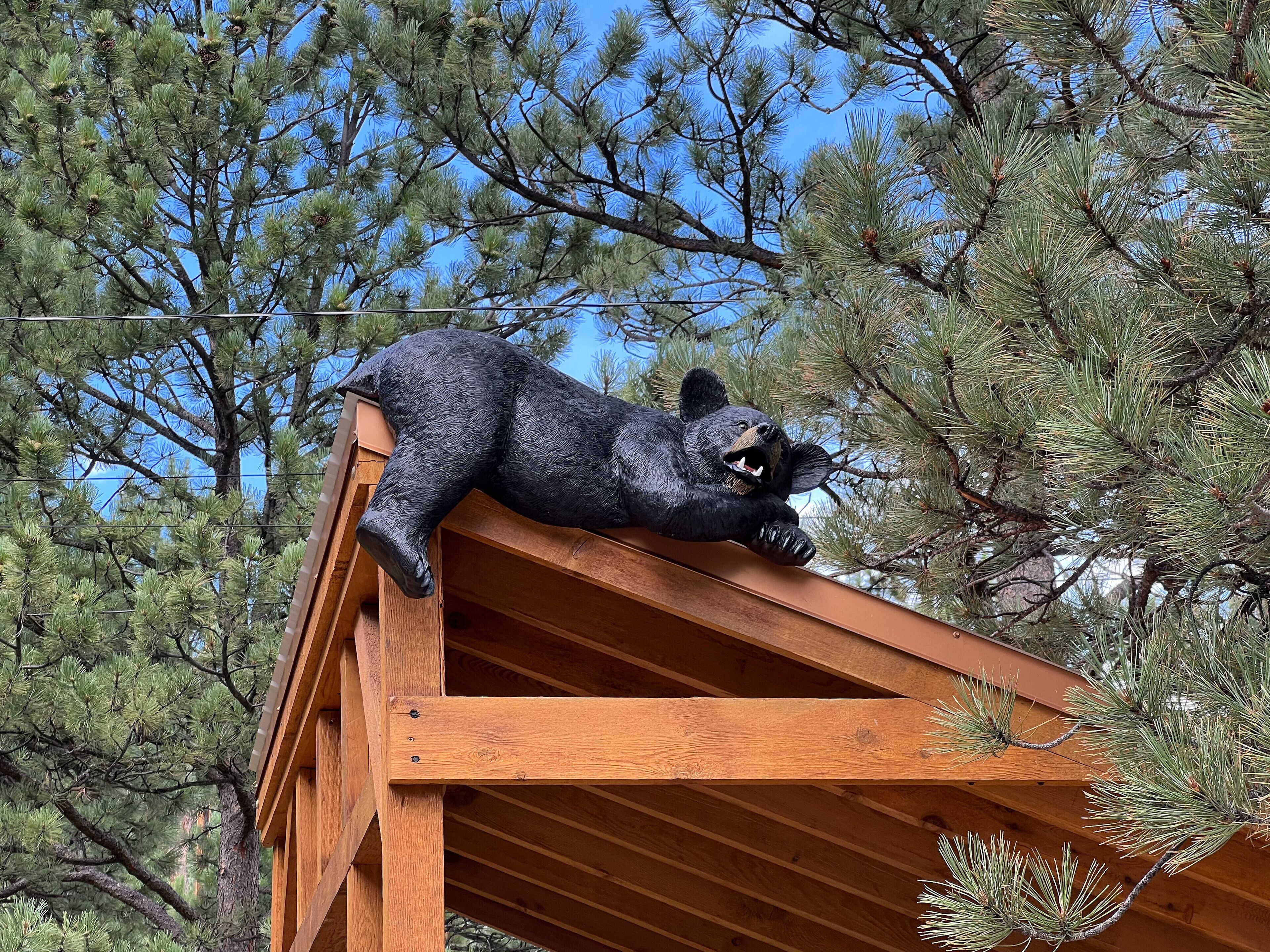 Bear House - Spacious Home with Hot Tub - Vacation Rental Close to Downtown Estes Park - EV #3073