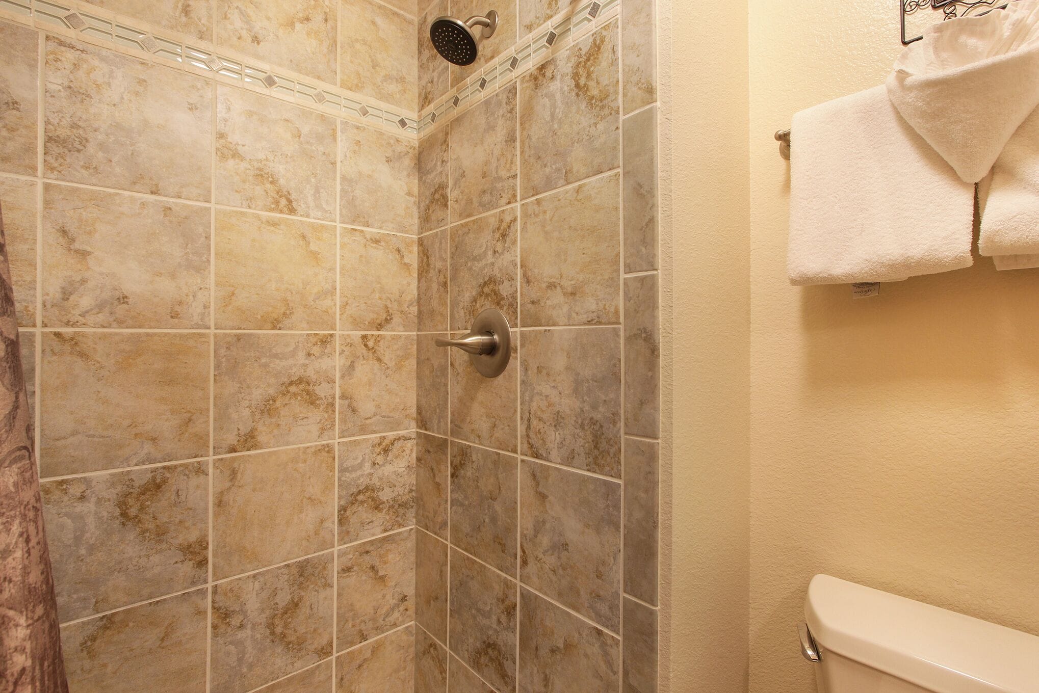 Une salle de bain avec une douche, des murs carrelés et des toilettes.