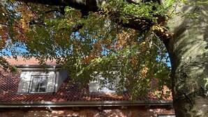 Une maison en briques avec un toit en tuiles, une porte verte et des fenêtres.