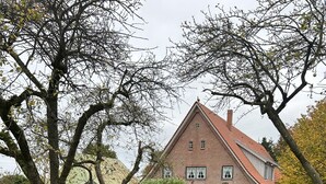 Une maison avec un toit rouge, entourée d’un champ verdoyant parsemé de feuilles.