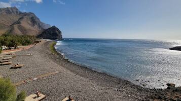 Lettini da mare