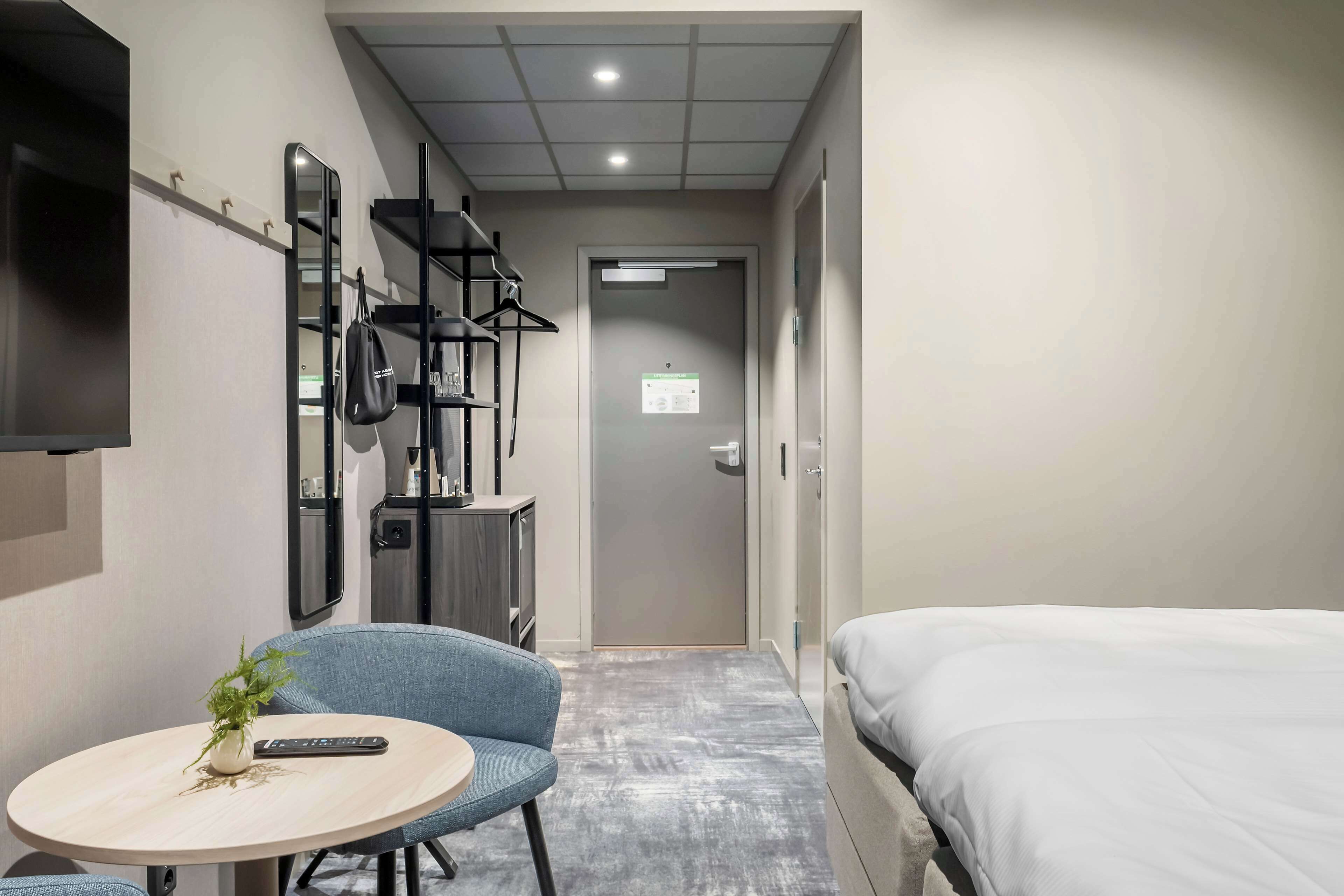 Habitación de hotel con una cama, una mesita redonda con una planta, una silla, un televisor montado en la pared y un armario con espejo.