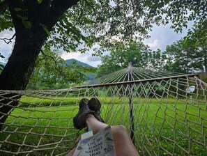 A hammock under a tree with a book titled "LAST MT READING NATURES SIGNS". - Hiker's Haven: Trail Days, Starry Firepit Nights (Franklin)