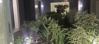 Eliora酒店托罗罗