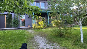 Ein modernes Haus mit überdachter Veranda, einem Kiesweg und einem Hund im Vordergrund.