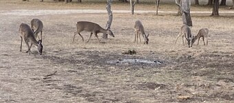 One RV spot with water and electricity. NO dump station. Beautiful Medina Tx