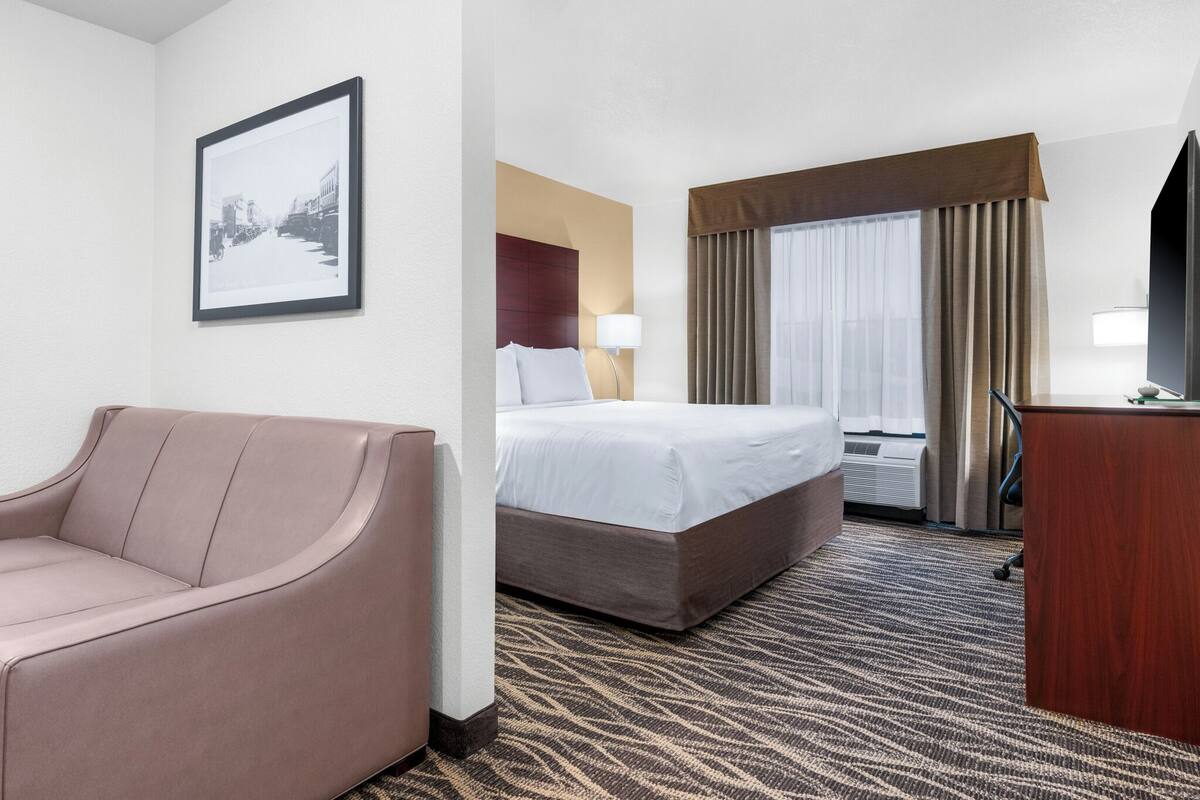 A hotel room with a bed, a sofa, a desk, and a framed picture on the wall.