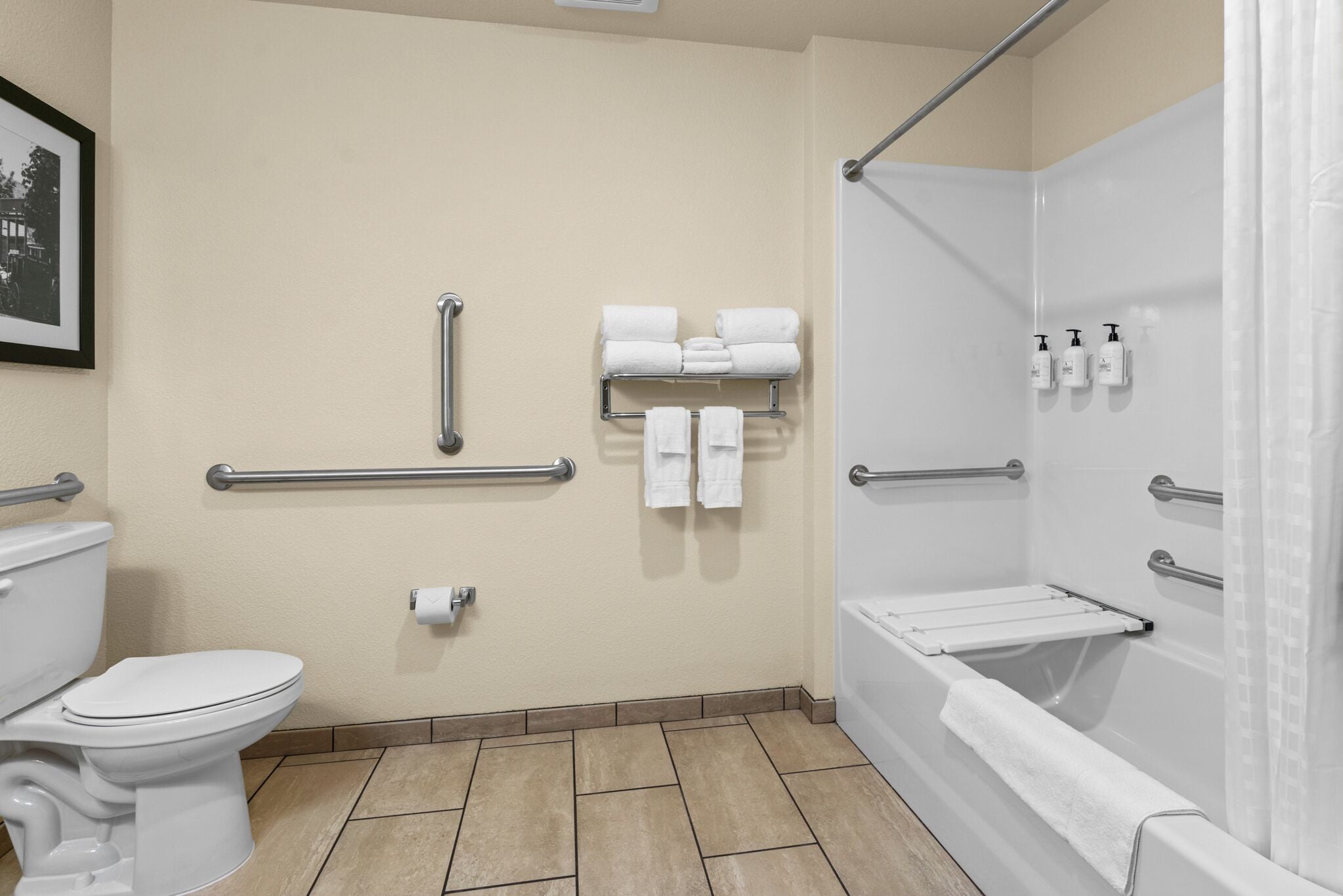 A bathroom with a toilet, a shower, and a sink. There are handrails, a towel rack, and a picture on the wall.