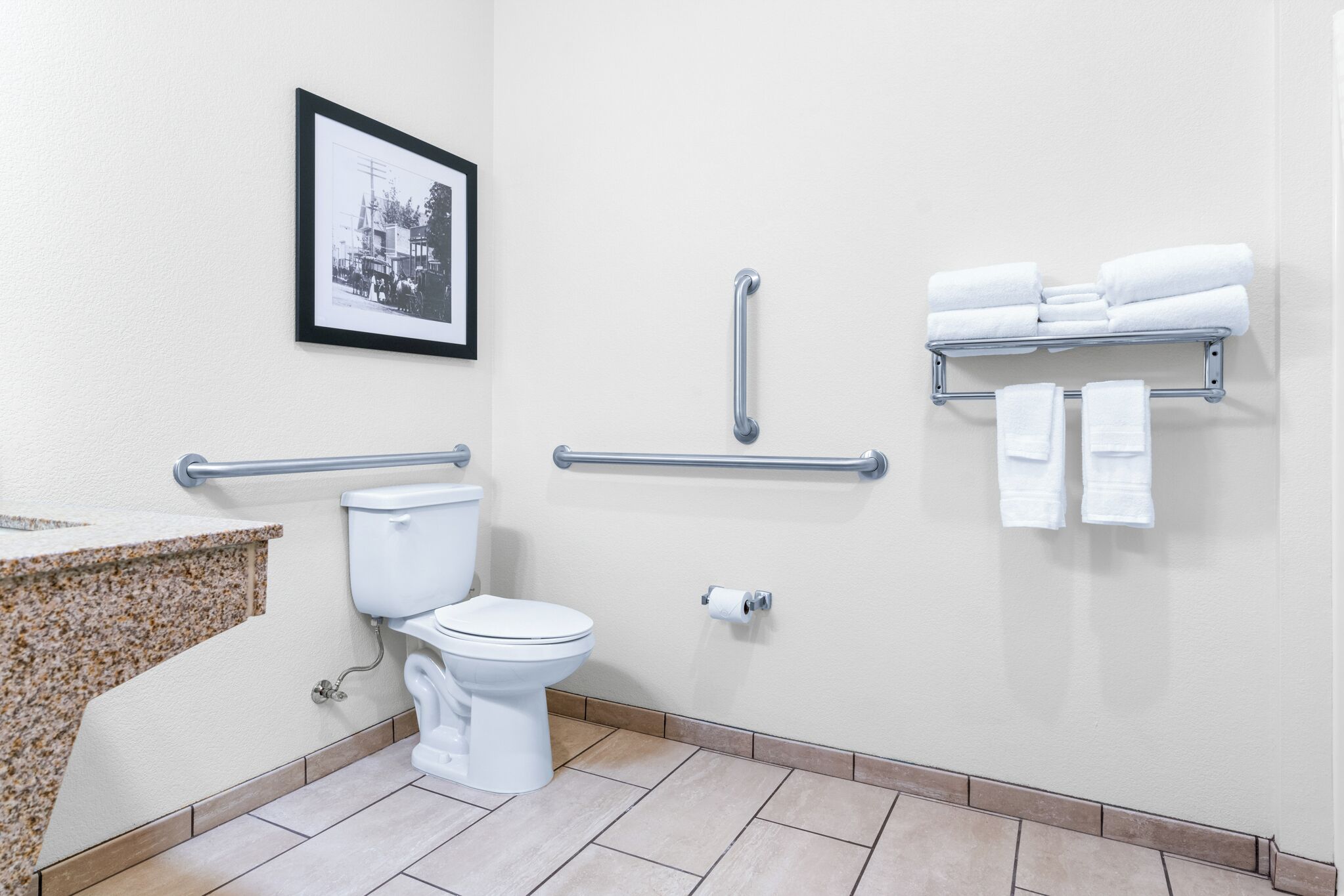A bathroom with a toilet, grab bars, a towel rack, and a framed picture on the wall.