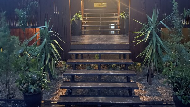 Una escalera de madera que lleva a una puerta, con una lámpara encima, rodeada de plantas en macetas.