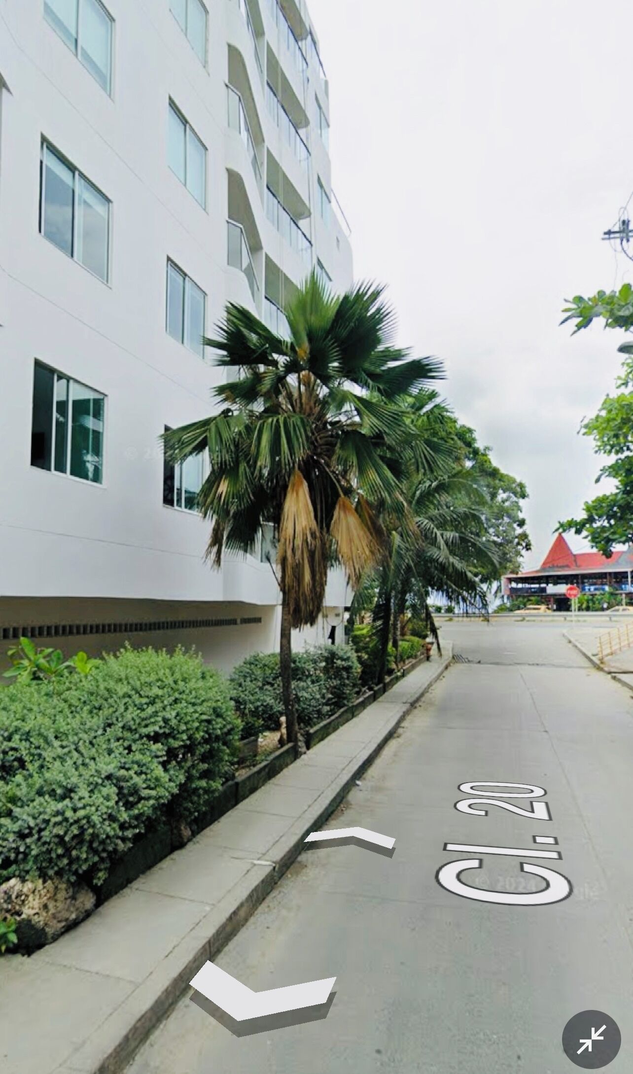 A modern building with a white facade, a palm tree, and a sidewalk with a bicycle lane.