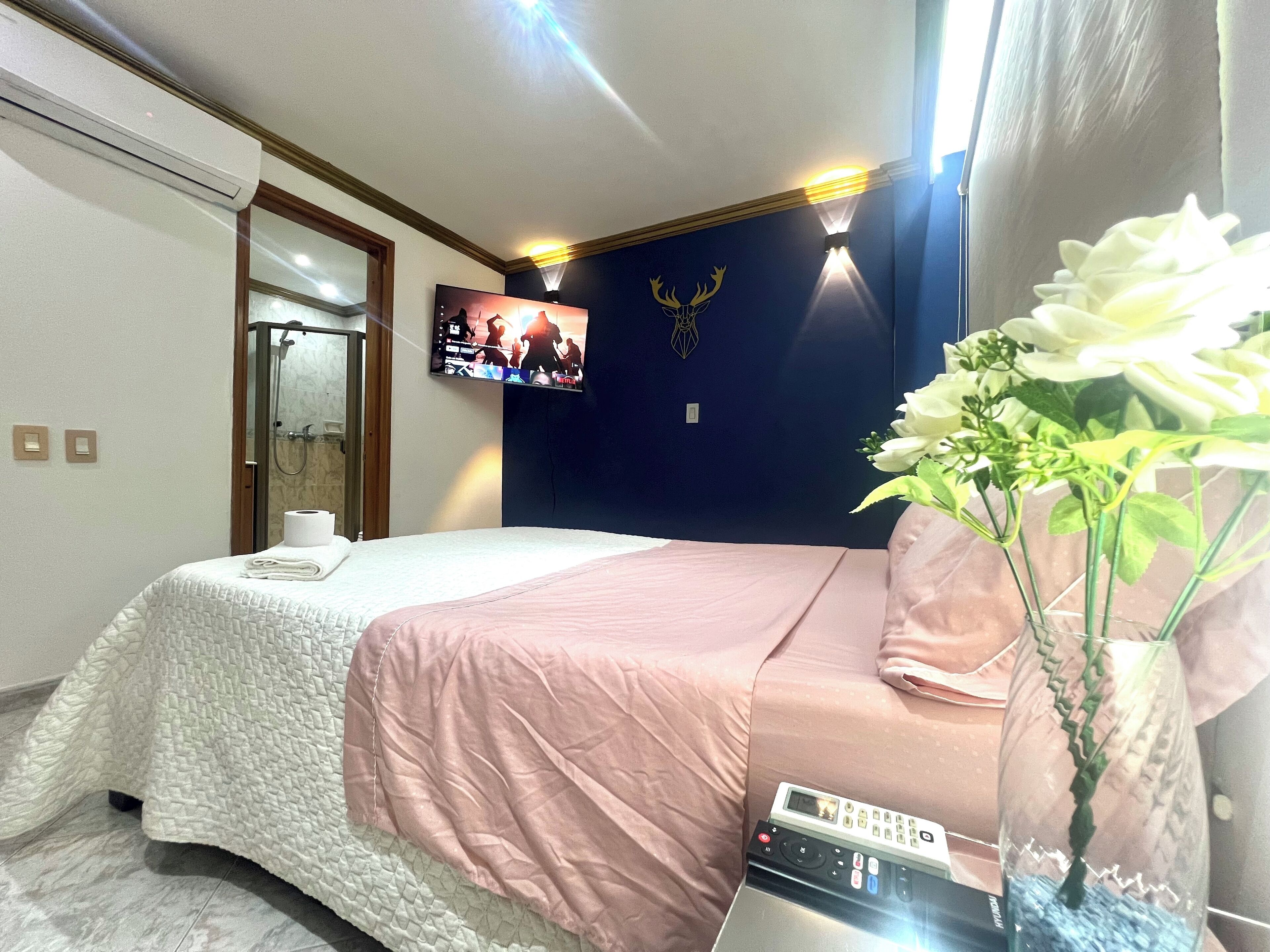 1 soverom, strykejern/-brett, wi-fi (inkludert) og sengetøy