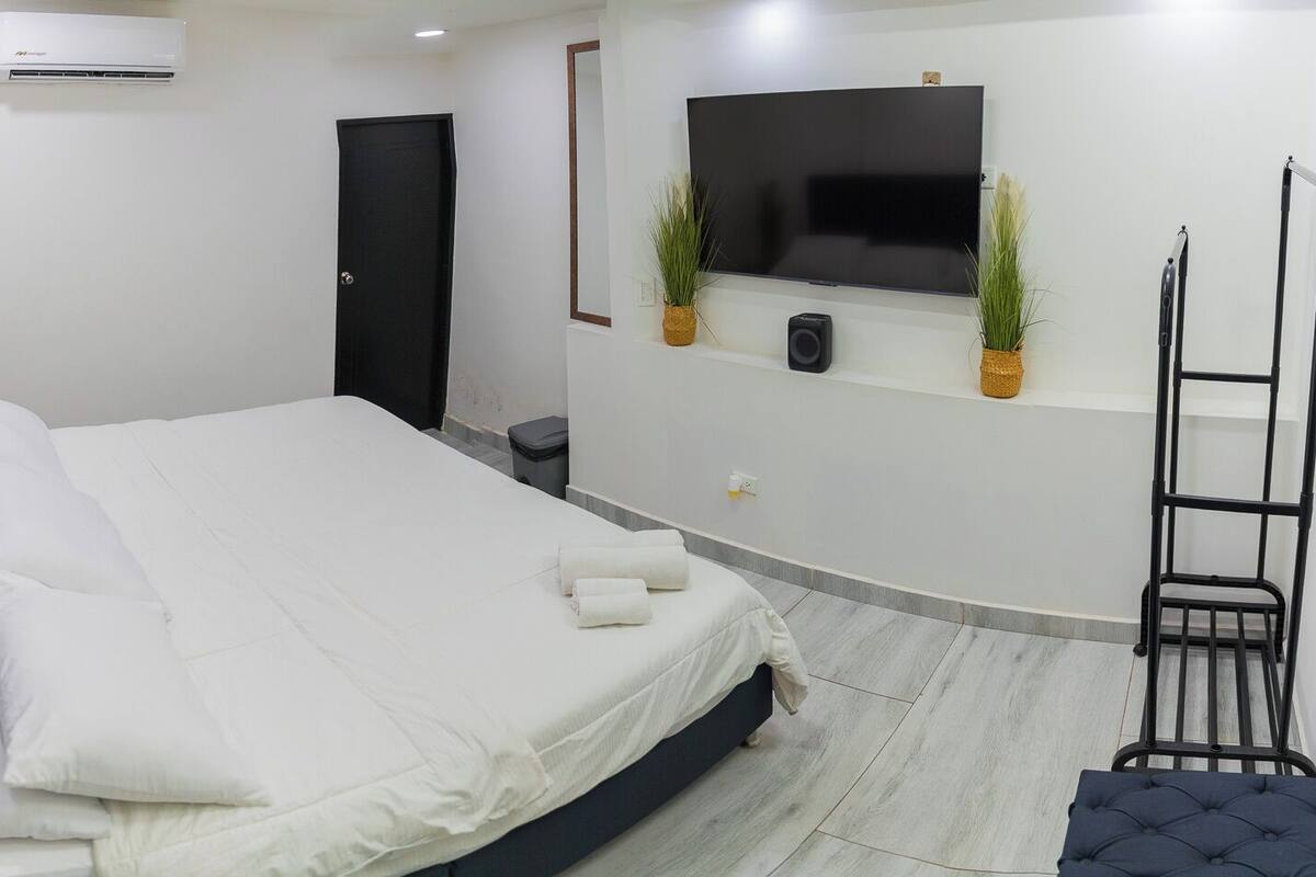 Ein Schlafzimmer mit einem Bett, einem Fernseher, einer Wandklimaanlage, einer Tür und einer kleinen Pflanze.