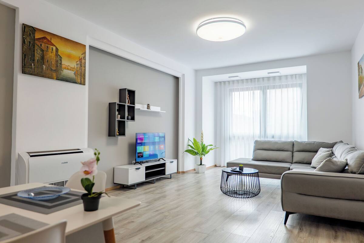 Un salon moderne avec un canapé, un téléviseur et une plante.