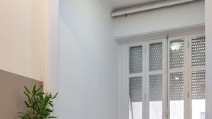 A room with a round table, two chairs, a potted plant, and a window with white shutters.