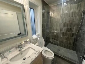 Combined shower/tub, hair dryer, towels, soap