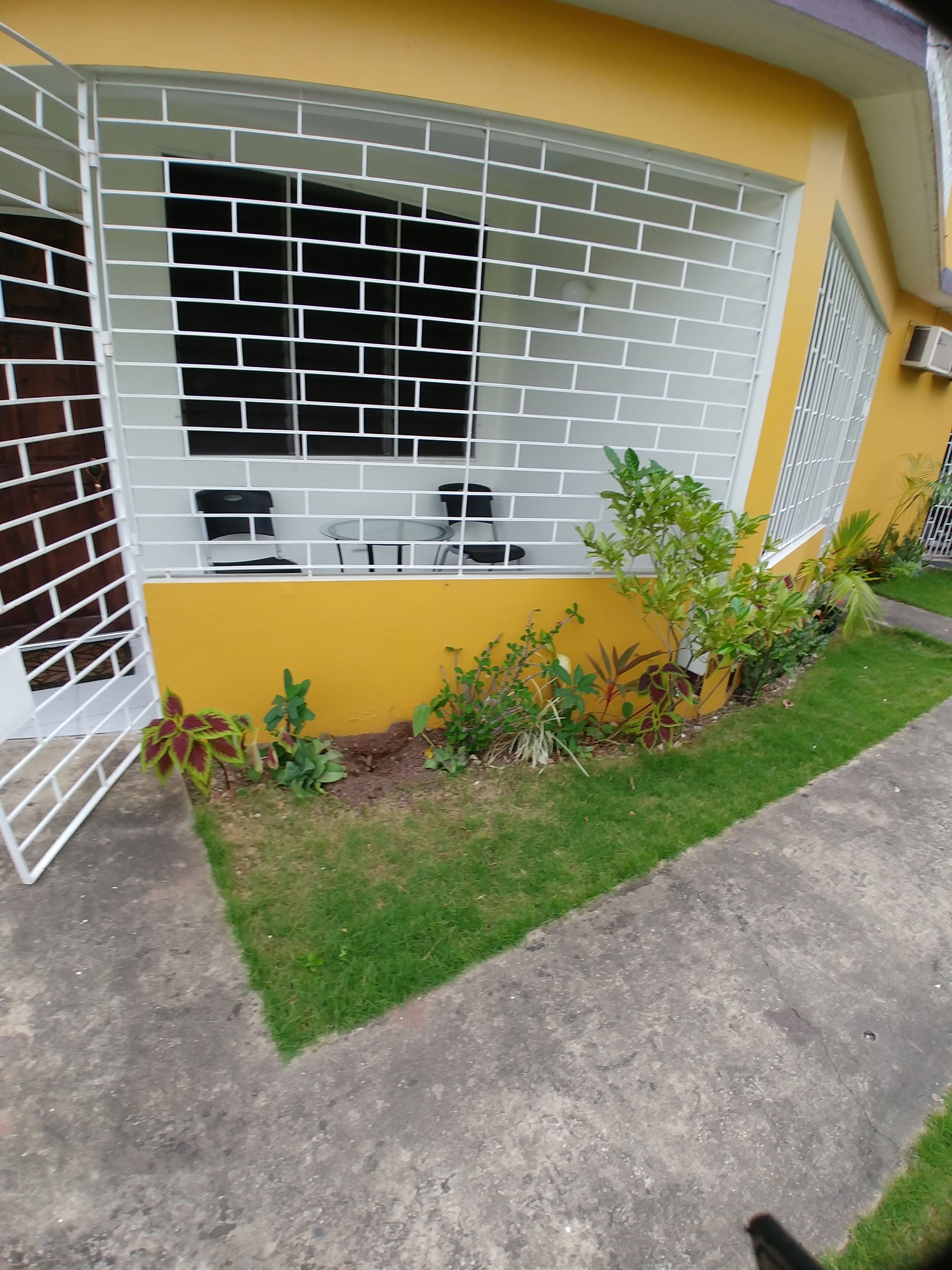 A yellow building with a window and a small garden area.