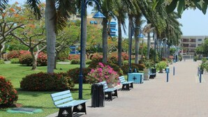 A pathway lined with benches and street lamps, surrounded by lush greenery and flowering plants. - Camperdown Place (Kingston)