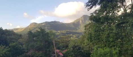 Alberca