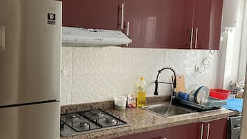 Fridge, oven, stovetop, cookware/dishes/utensils