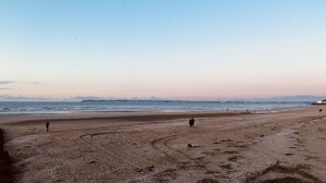 Une vaste plage où l’on voit des gens se promener et un chien allongé sur le sable.