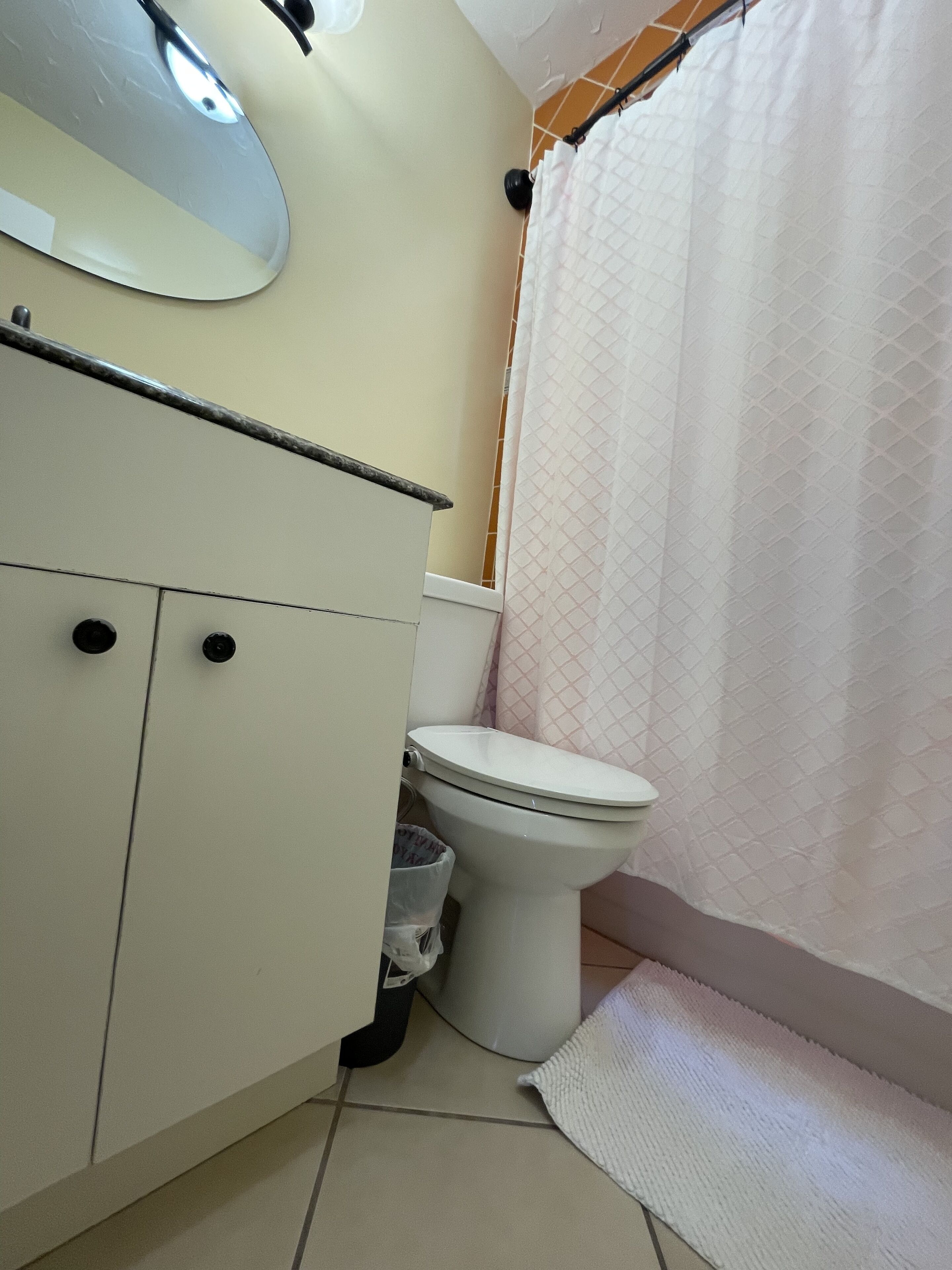 A bathroom with a toilet, a sink with a mirror, and a shower curtain.