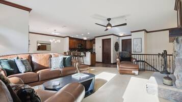 Smart TV, chimenea, libros, monitor de computadora