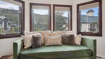 Smart TV, chimenea, libros, monitor de computadora