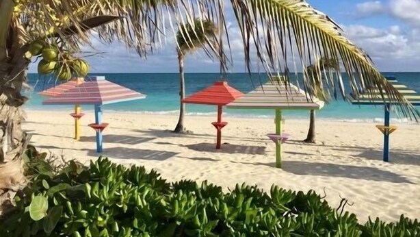 A beach with palm trees, a clear sky, and colorful umbrellas.