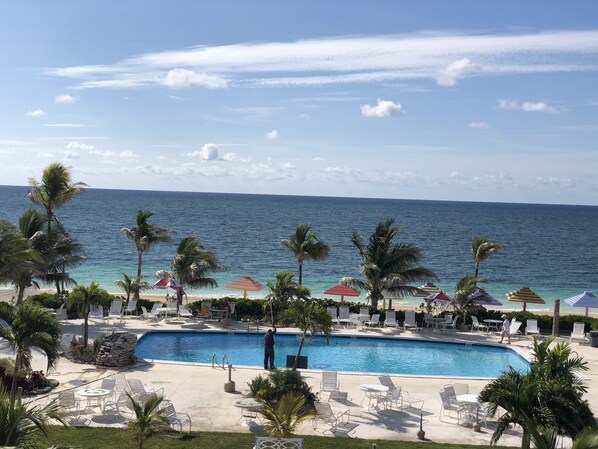 Relax by the oceanfront pool surrounded by lush greenery and palm trees.