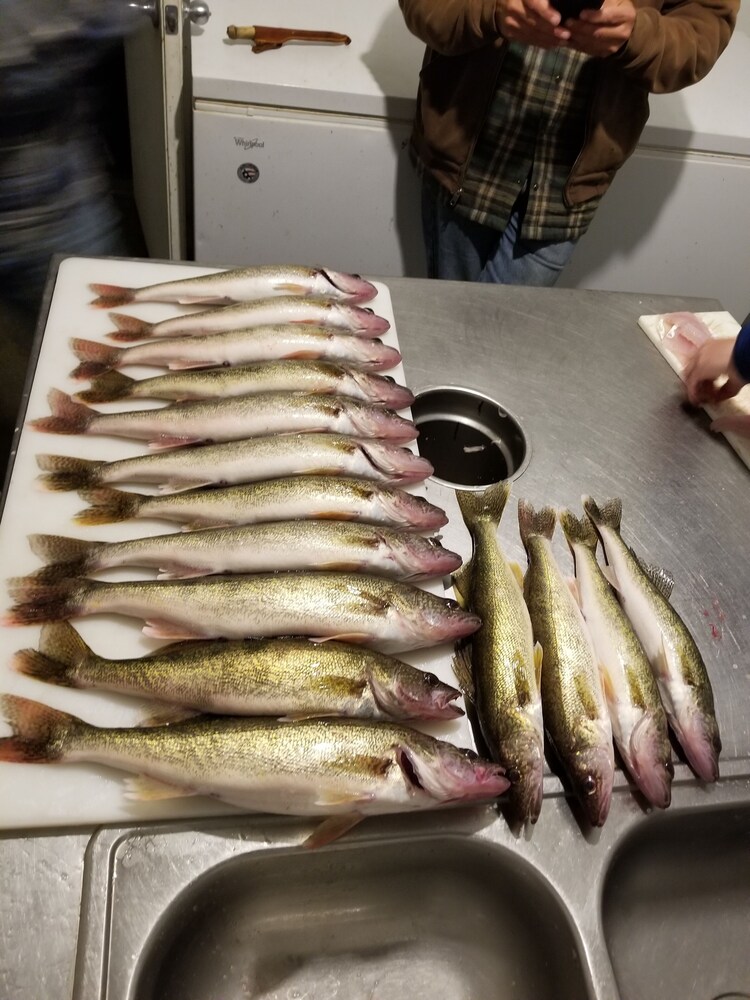 Huge 3bedroom 3 bath cabin on Cass Lake! Comes with private dock and