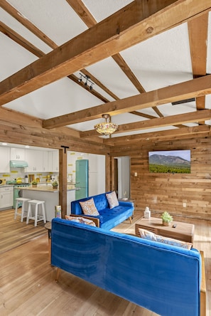Smart TV, fireplace, books, music library