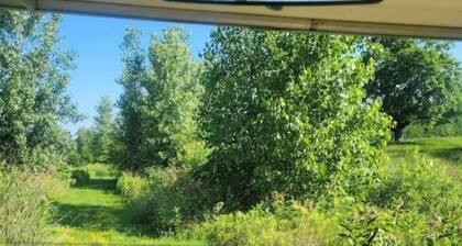 Off Grid Cabin/Bunkie