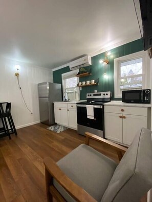 Fridge, microwave, oven, stovetop - Ludington Ave Suite 2- Blocks from downtown! (Ludington)