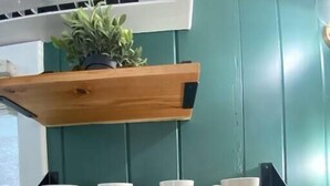 A kitchen with green walls, a wooden shelf holding white cups, a small plant, and a stainless steel appliance.