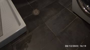 Shower, free toiletries, hair dryer, bidet
