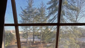 A window with a view of trees and a road outside.